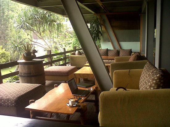 Gambaran Cafe Andrew hidayat kpk